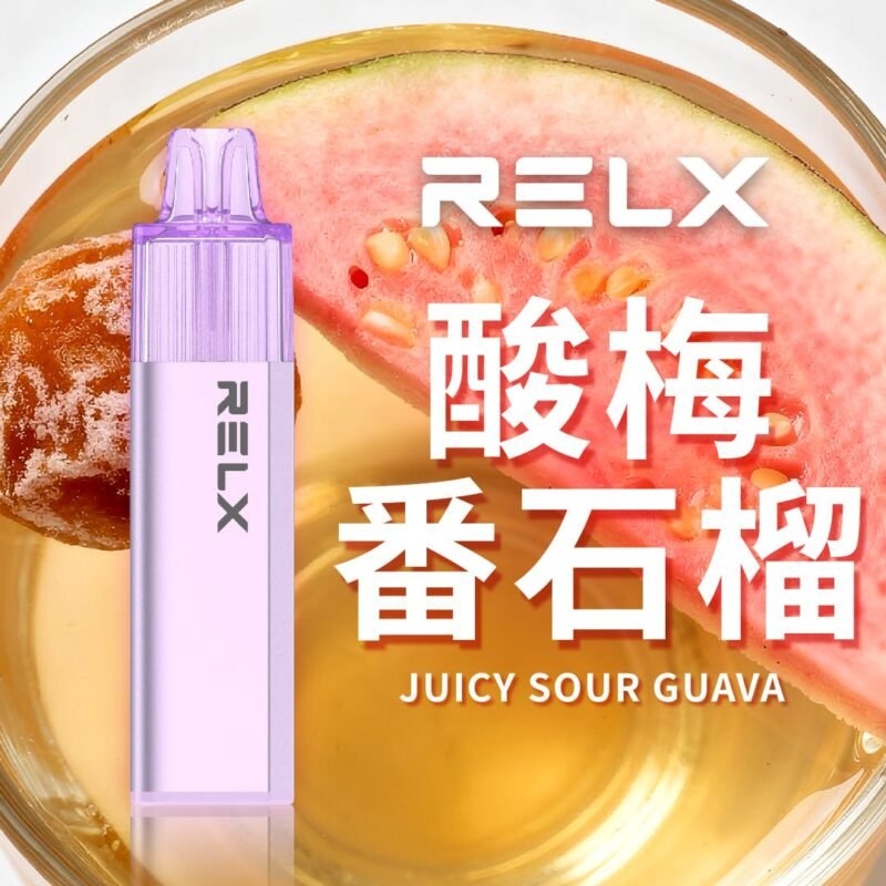 REXL GA8000口 一次性主機